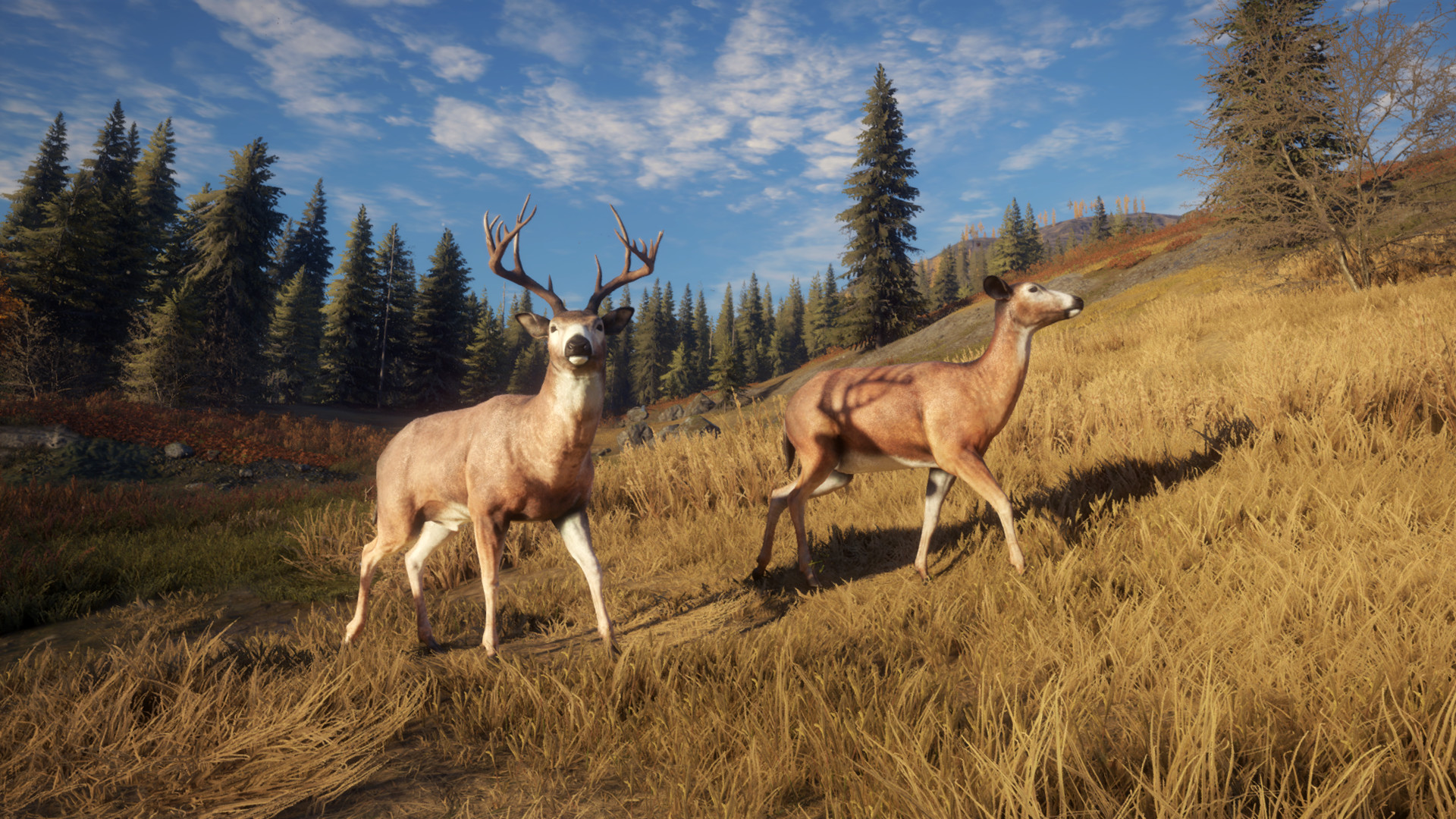 thehunter-call-of-the-wild-pc-screenshot-2