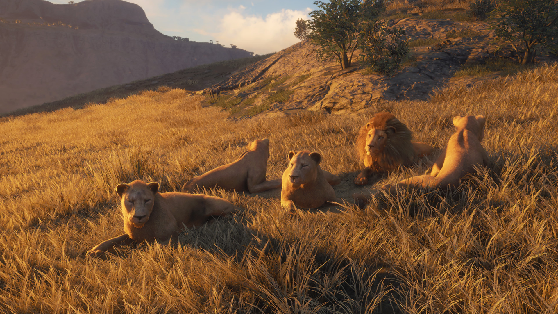 thehunter-call-of-the-wild-pc-screenshot-4