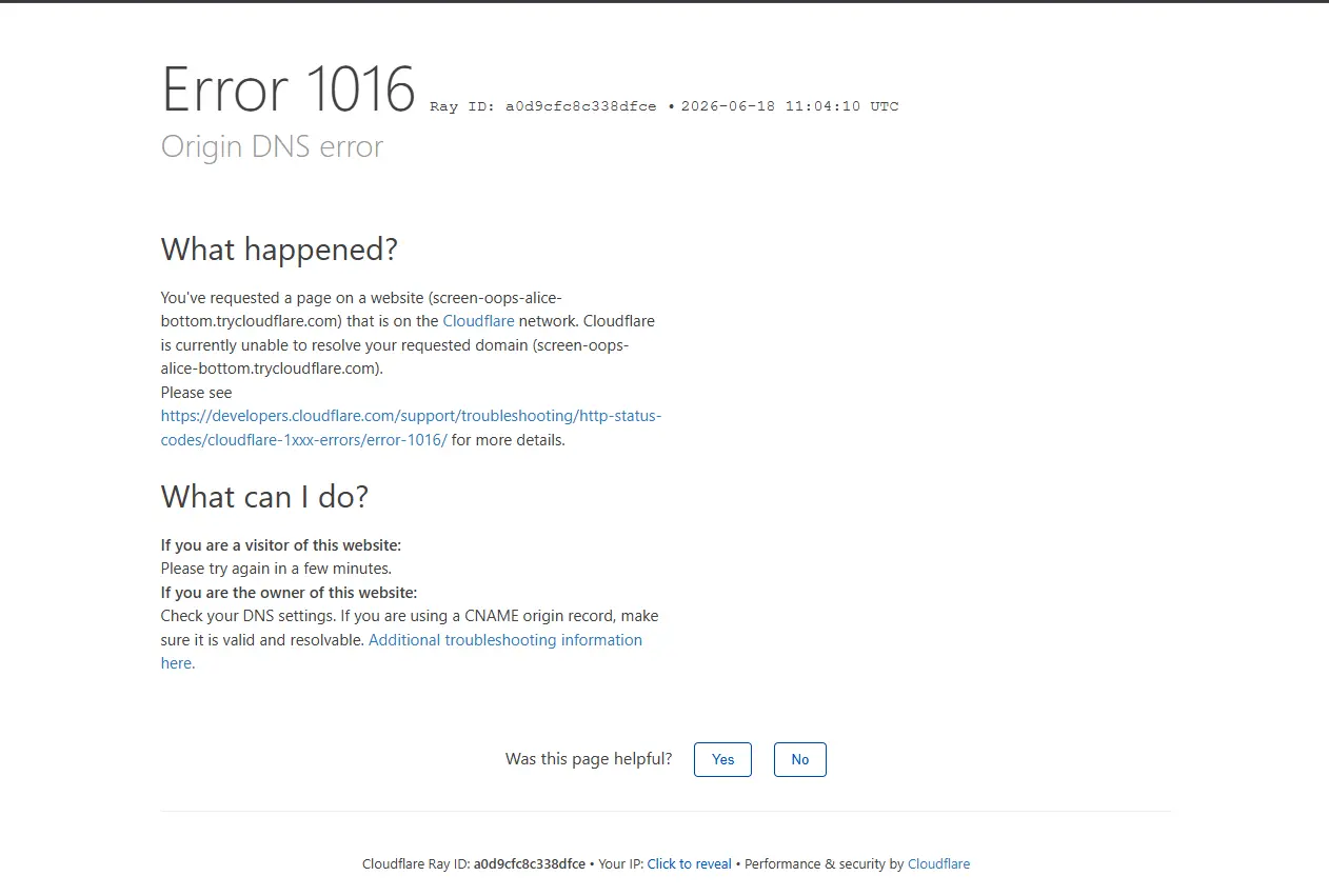 1781780672208.webp