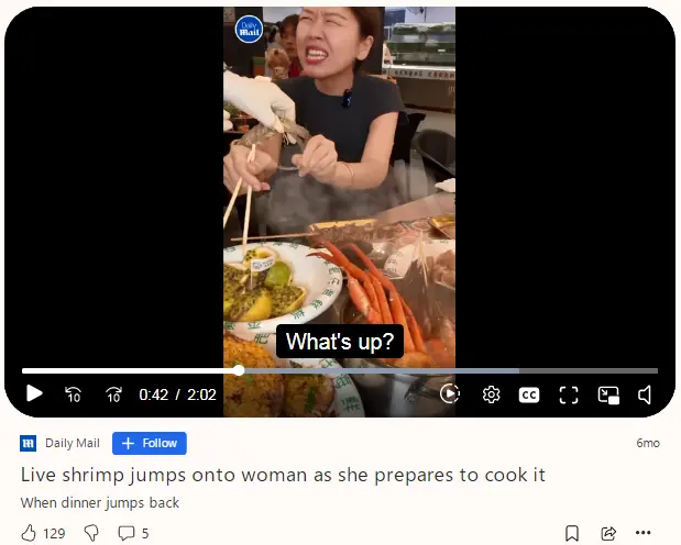 1781832141753.webp