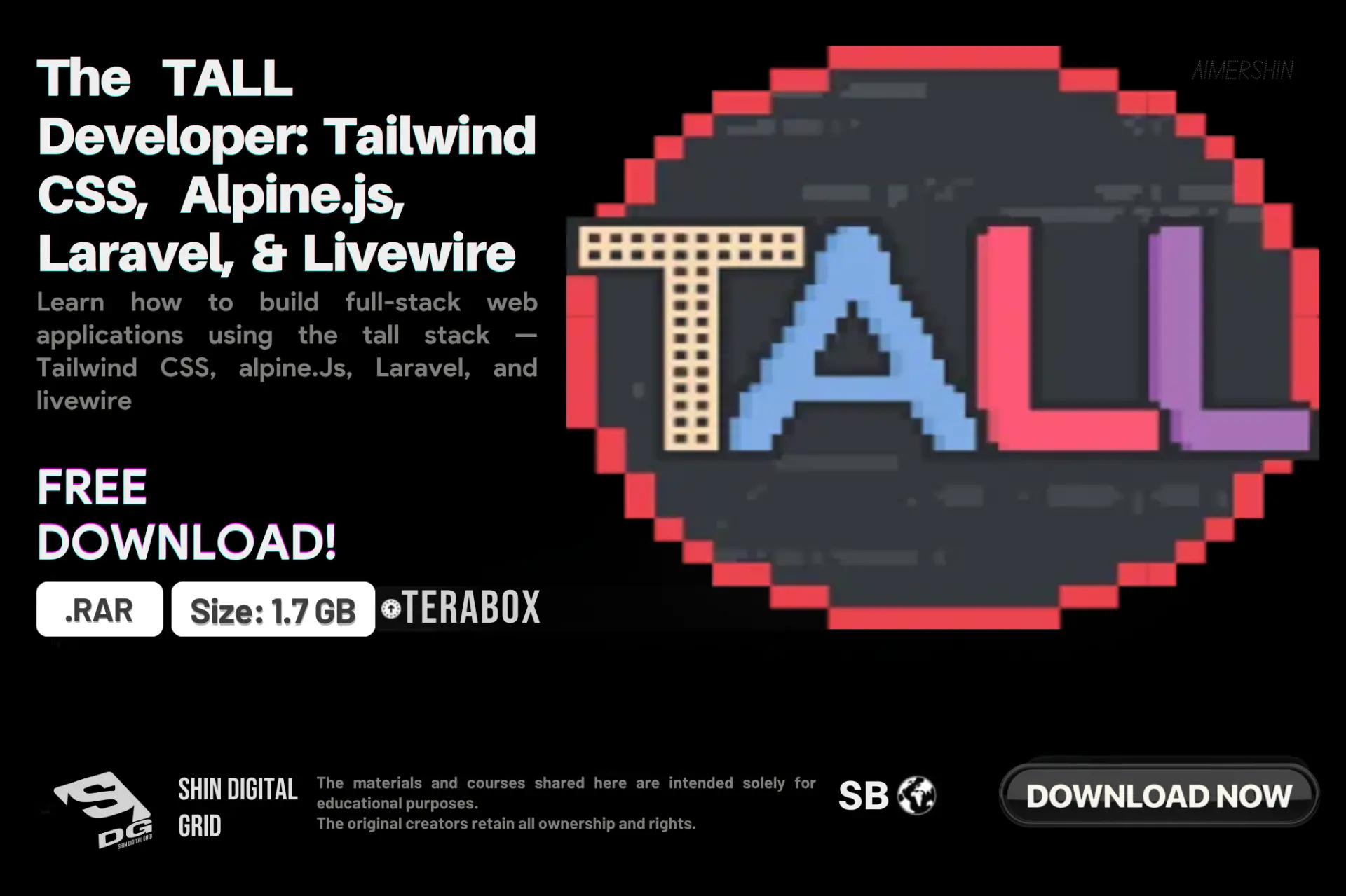 The TALL Developer.webp