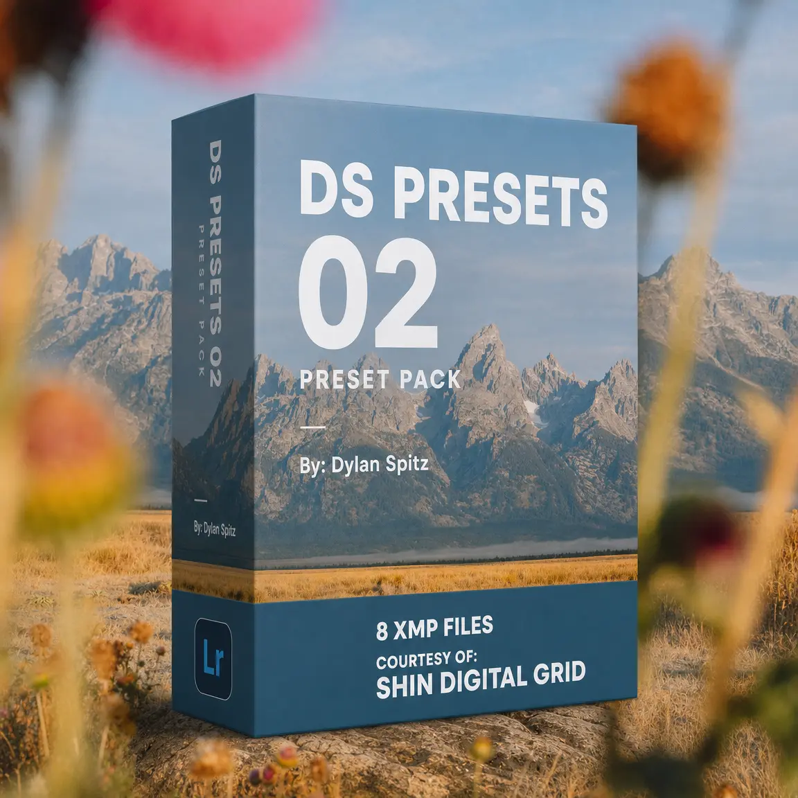 DS PRESETS 02.webp