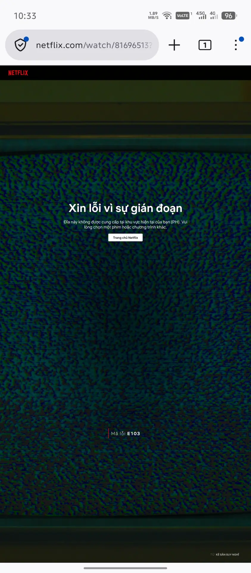4019.webp