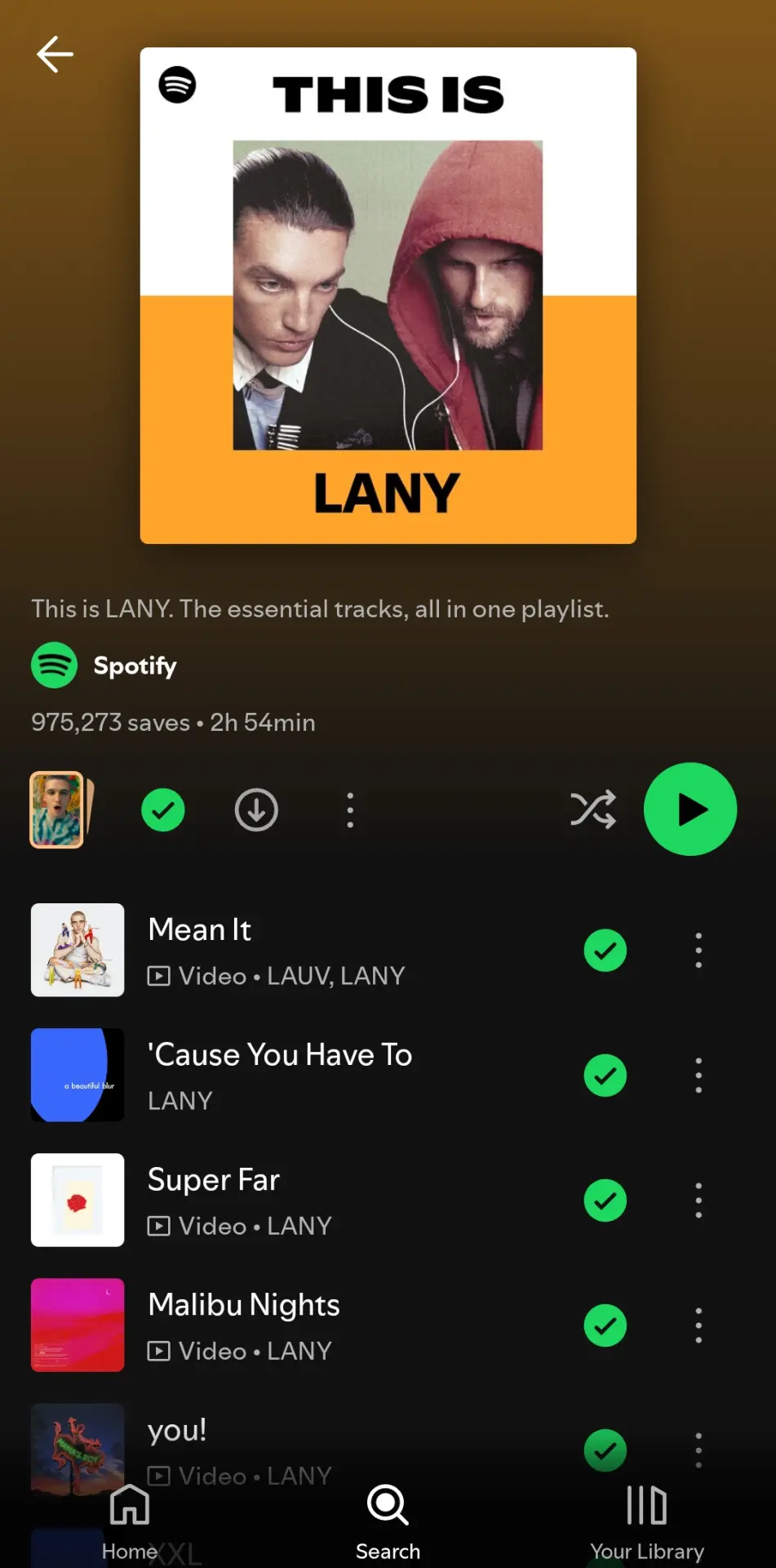 This Is LANY | Best Songs & Essential Tracks