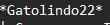 1782312299238.webp