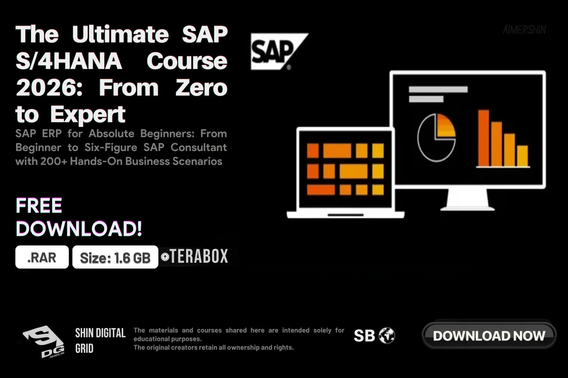 Ultimate SAP S.webp