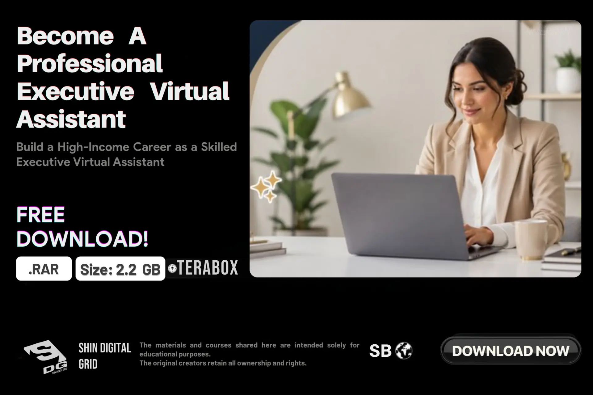 Professional Executive Virtual Assistant.webp