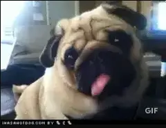1782787359967.webp