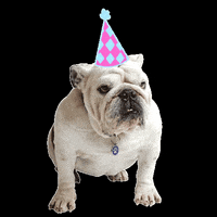 200.gif