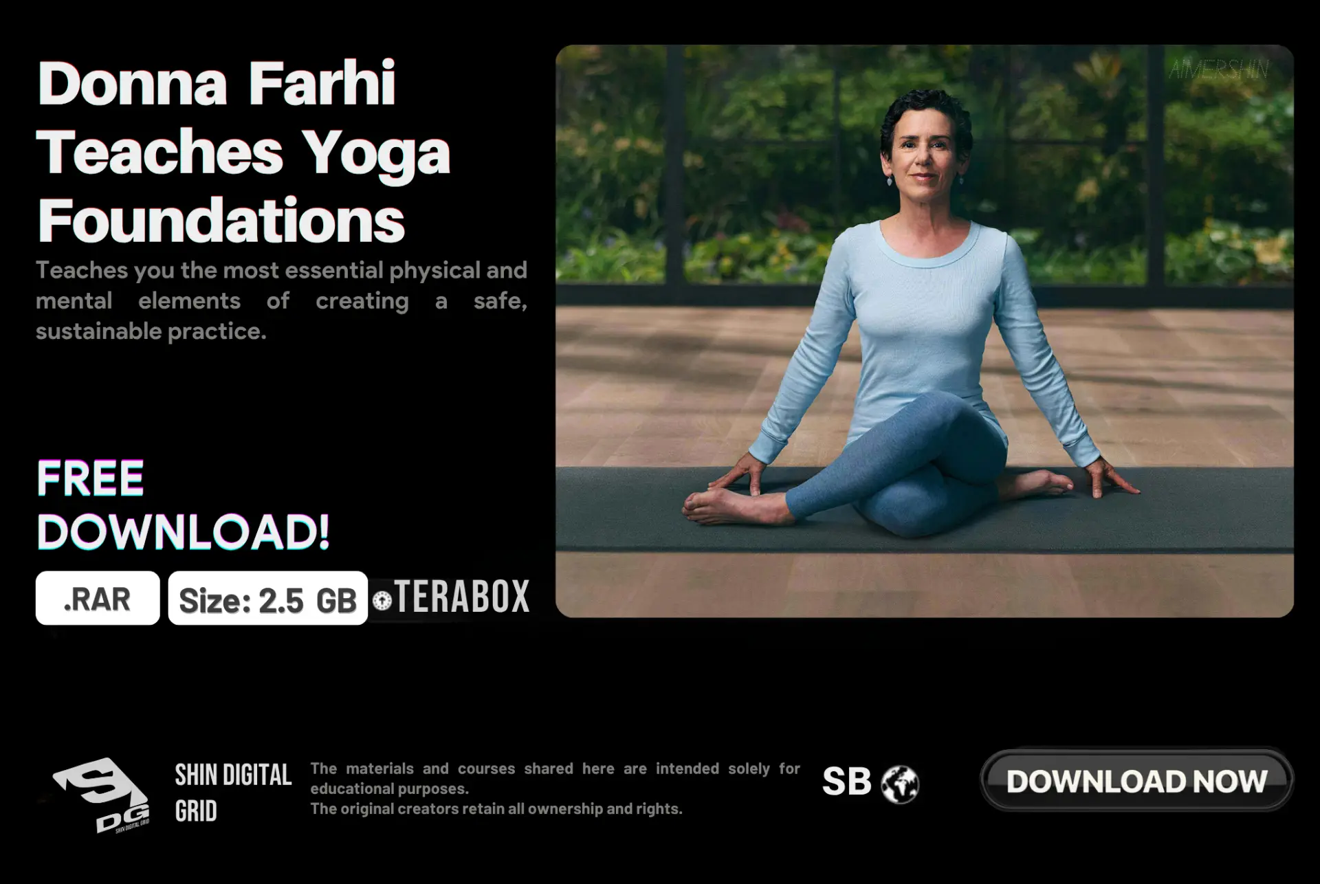 Teaches Yoga Foundations.webp