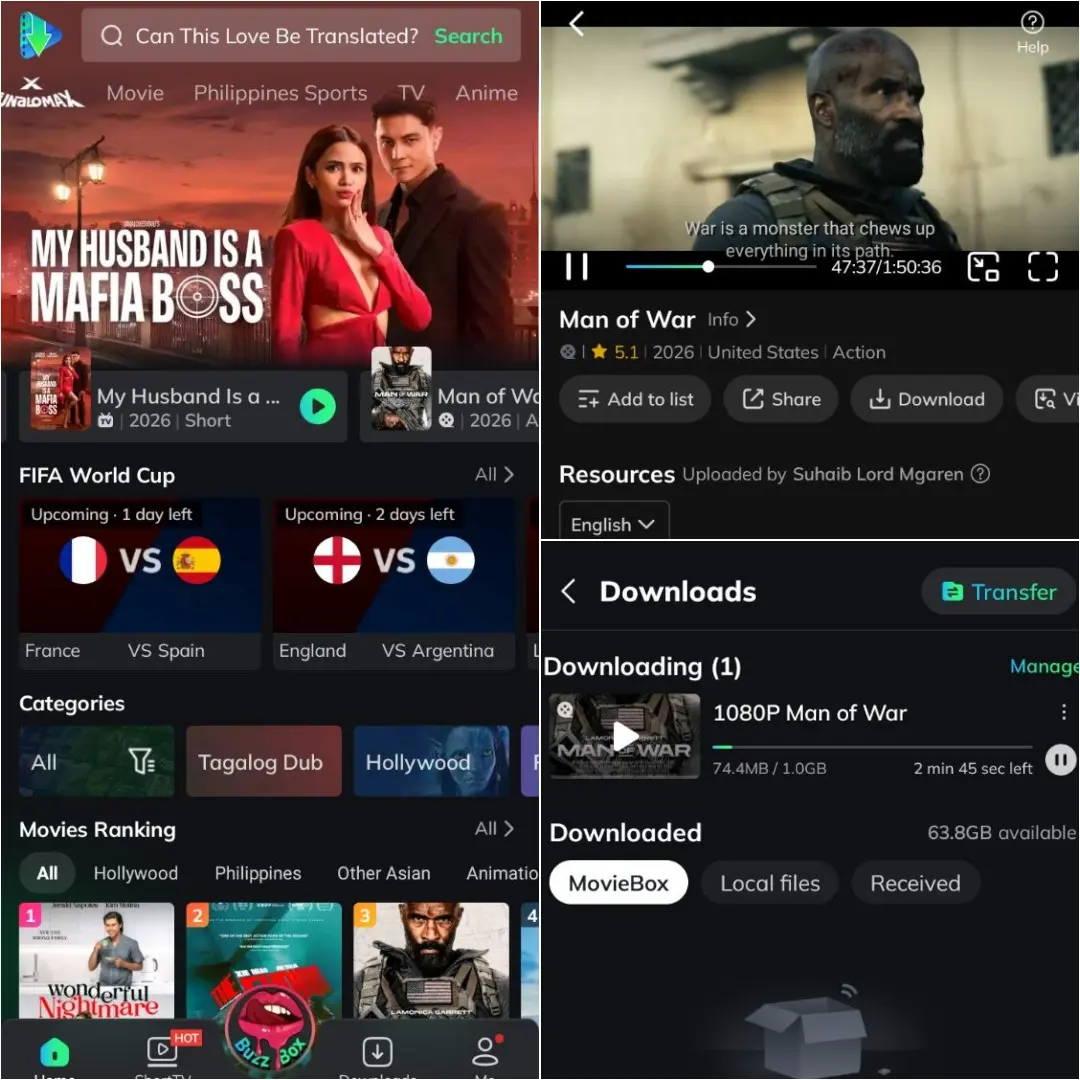 Moviebox.webp