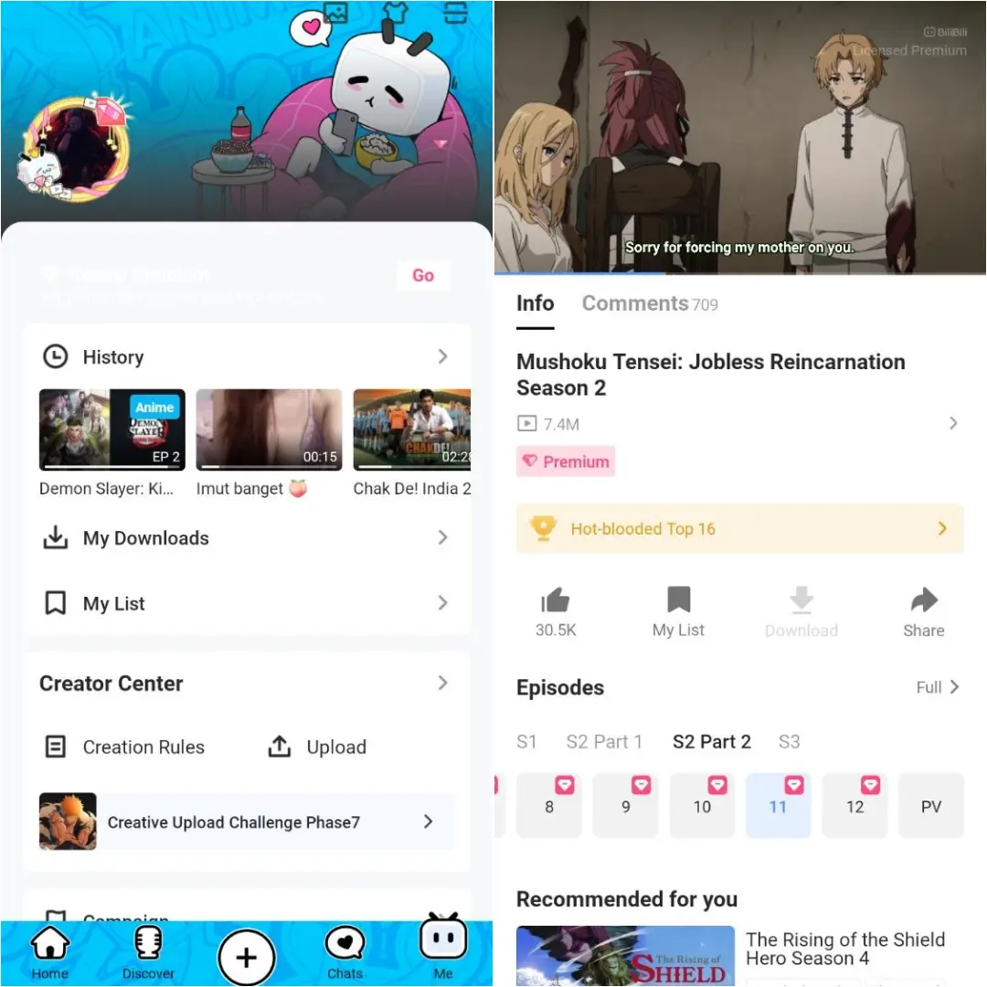 Bilibili.webp