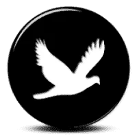 MAGPIE%2BLayers%2BTheme%2B15.8.webp