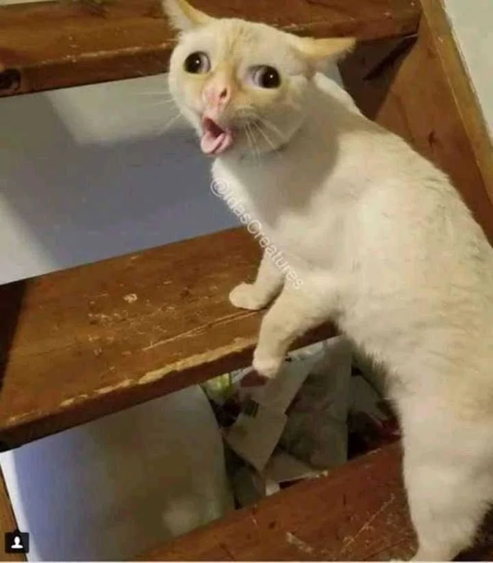 611302