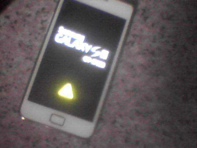 picture000.webp