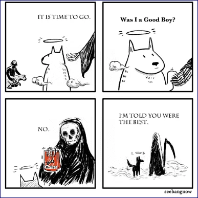 641835