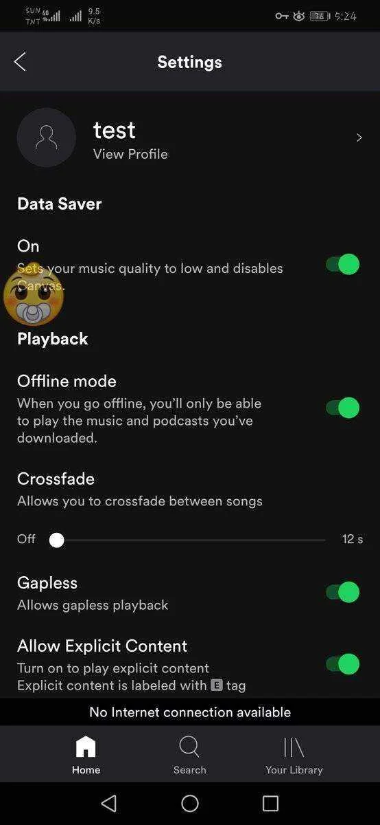 Screenshot_20190726_052421_com.spotify.music.jpg