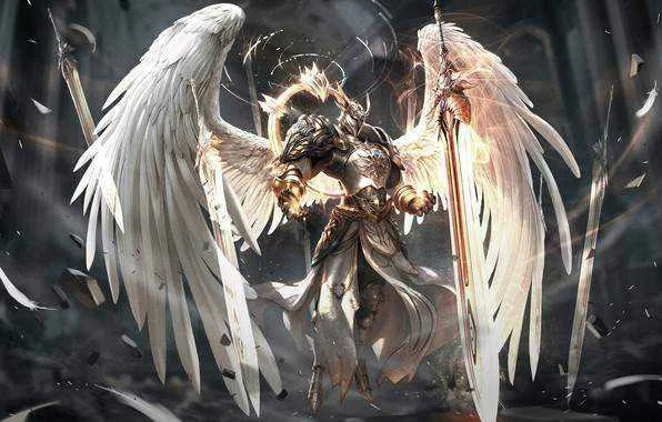 1564840312448.webp