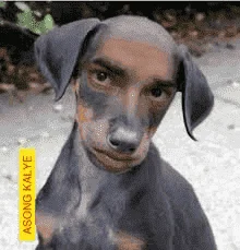 1566624521746.webp