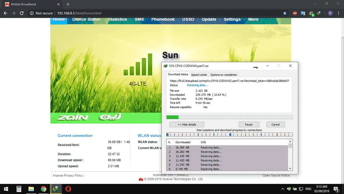sun ft.webp