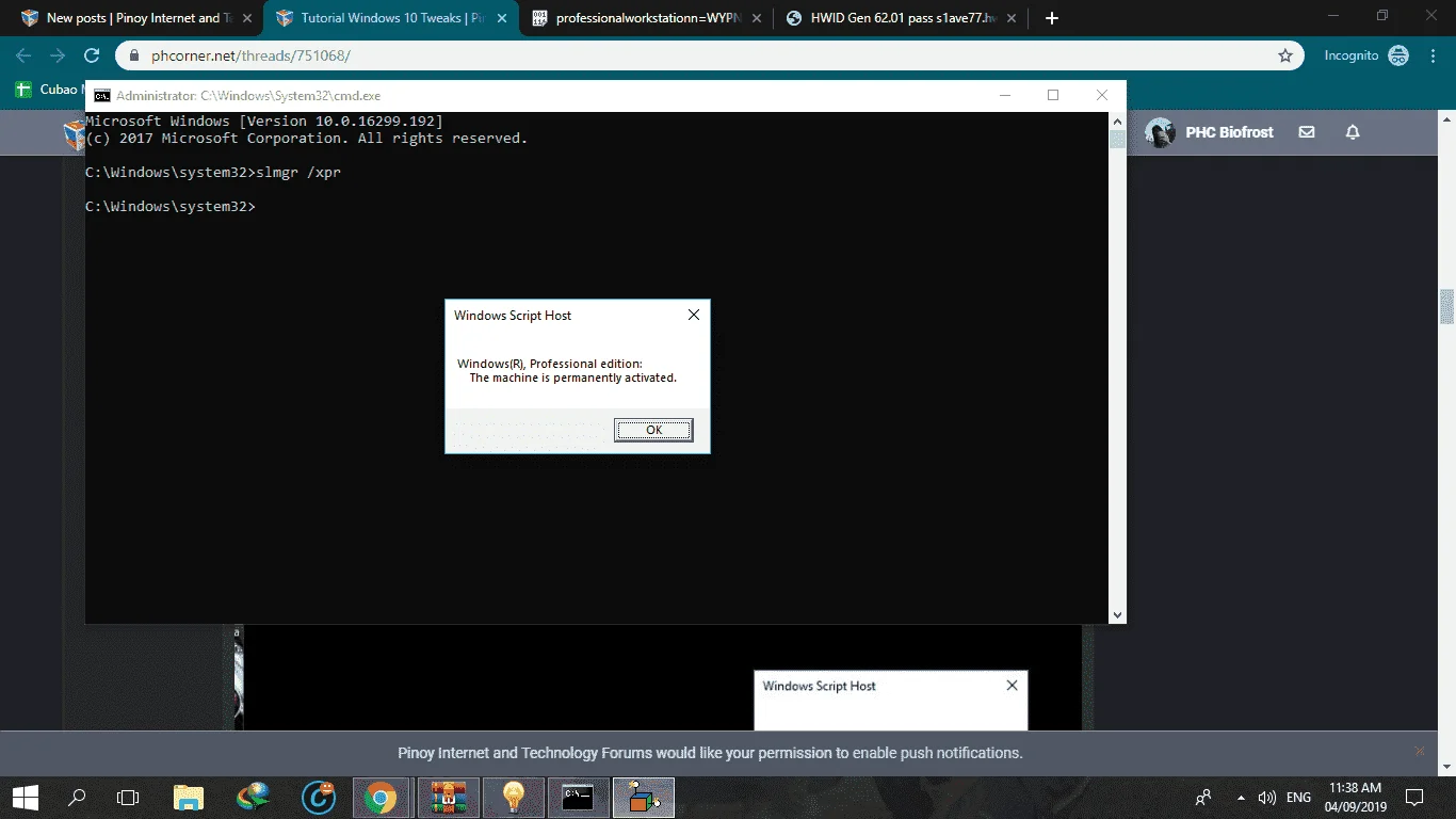 Activated.webp
