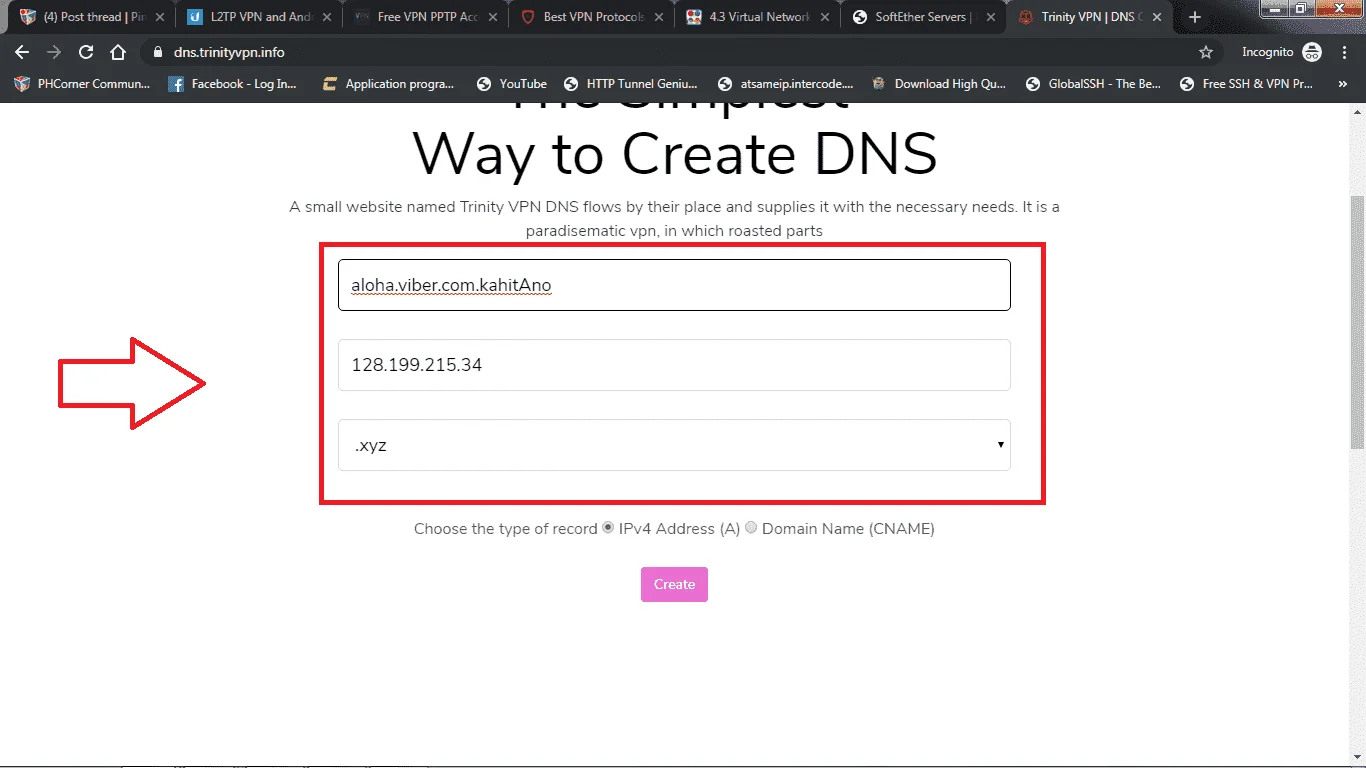 DNS1.png