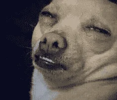 1568632152538.png