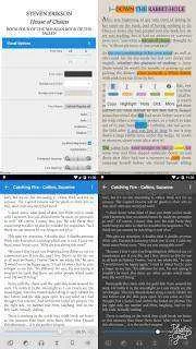 B4FAF425-B2E9-43D8-B3AE-4C35ED0F4DB7.webp