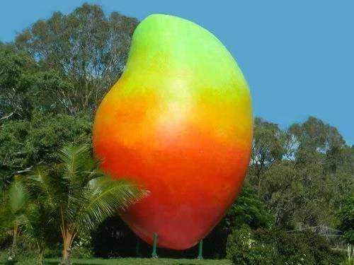 bigmango2.webp