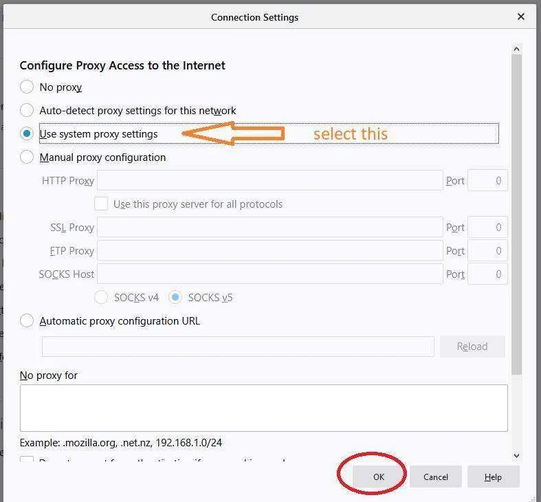 2.webp