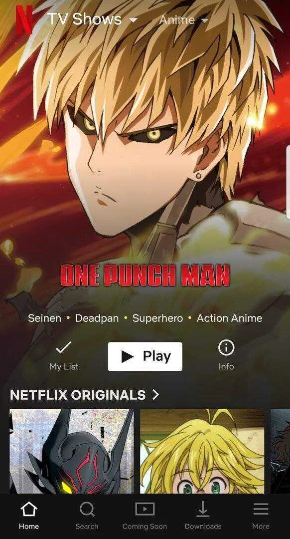 Screenshot_20191002-165948_nêtflïx.jpg