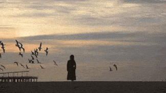 4CAA8D65-A5CF-4224-960D-E844EF025177.gif