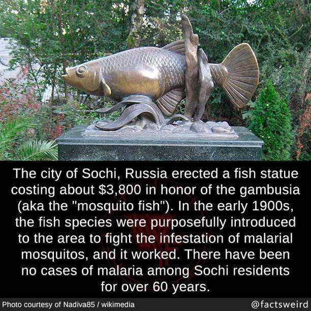 factsweird-20191009-0004.webp