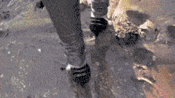 tenor.gif