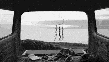 E30535BD-6EB6-4C33-BEF0-A773837E0184.gif