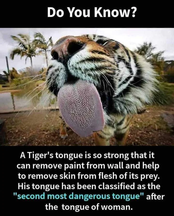 FB_IMG_1571498382768.jpg