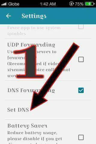 sdsaa.webp