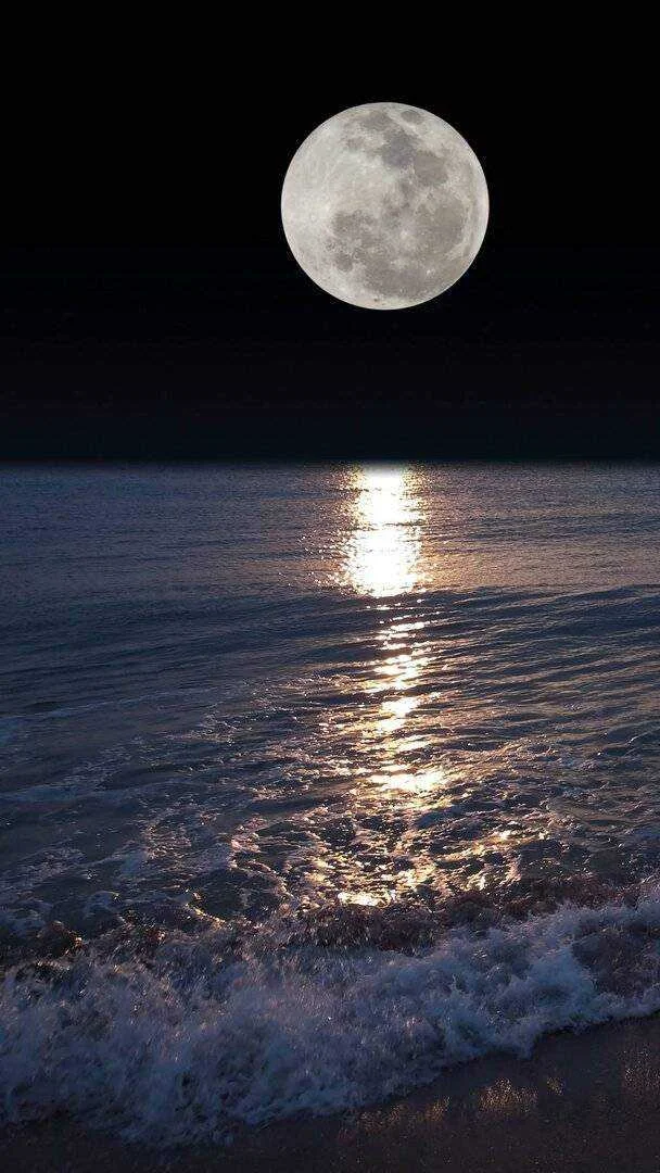 Night_Moon-25c416dc-0558-37d6-b09a-9cb5fc45ae1a.webp
