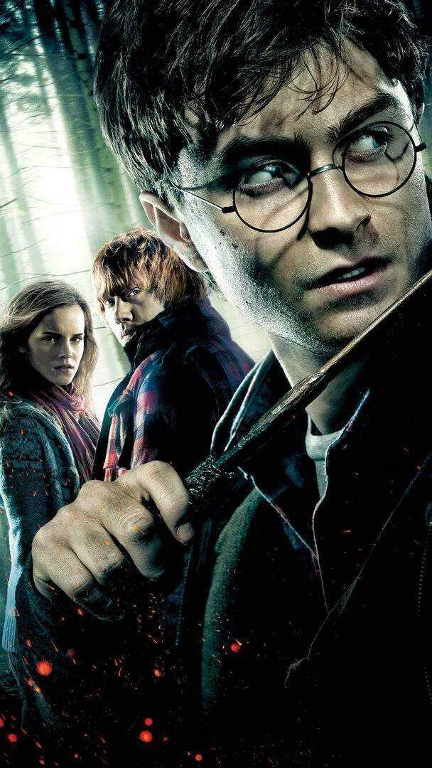 harry_potter_7-2dd05369-b70d-40f5-8acf-250eb78b5f5b.webp