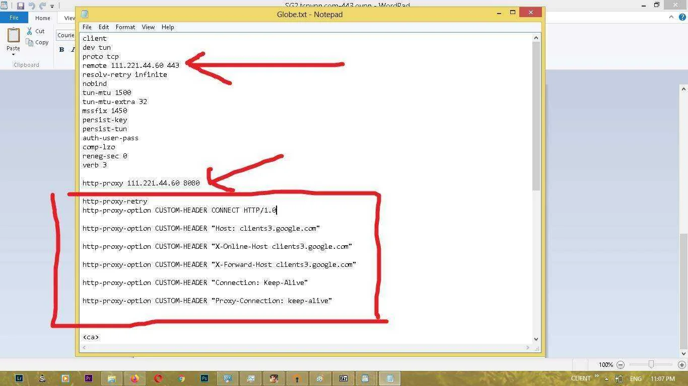 globe 3.webp