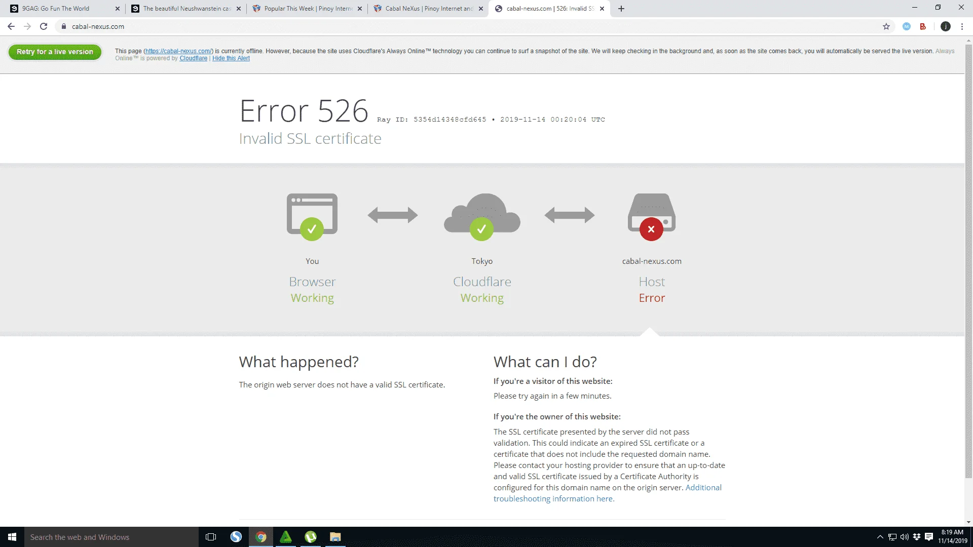 1573690759321.webp