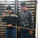 hahaha.gif
