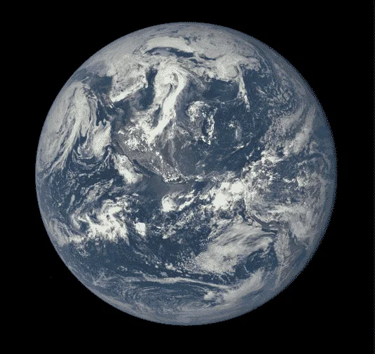 1574950598740.png