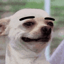 received_530637637789103.gif