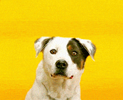 received_428547614689242.gif