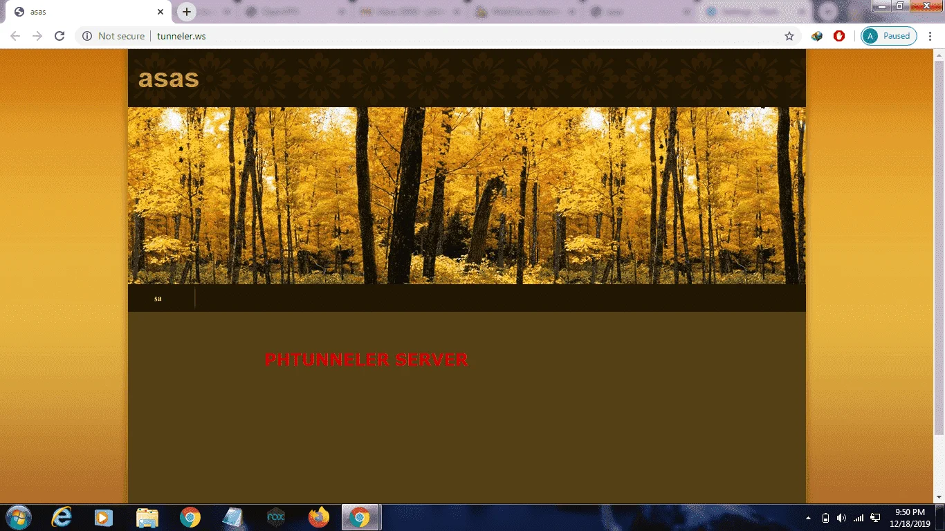 1576677076131.webp