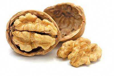 BrainNuts.webp