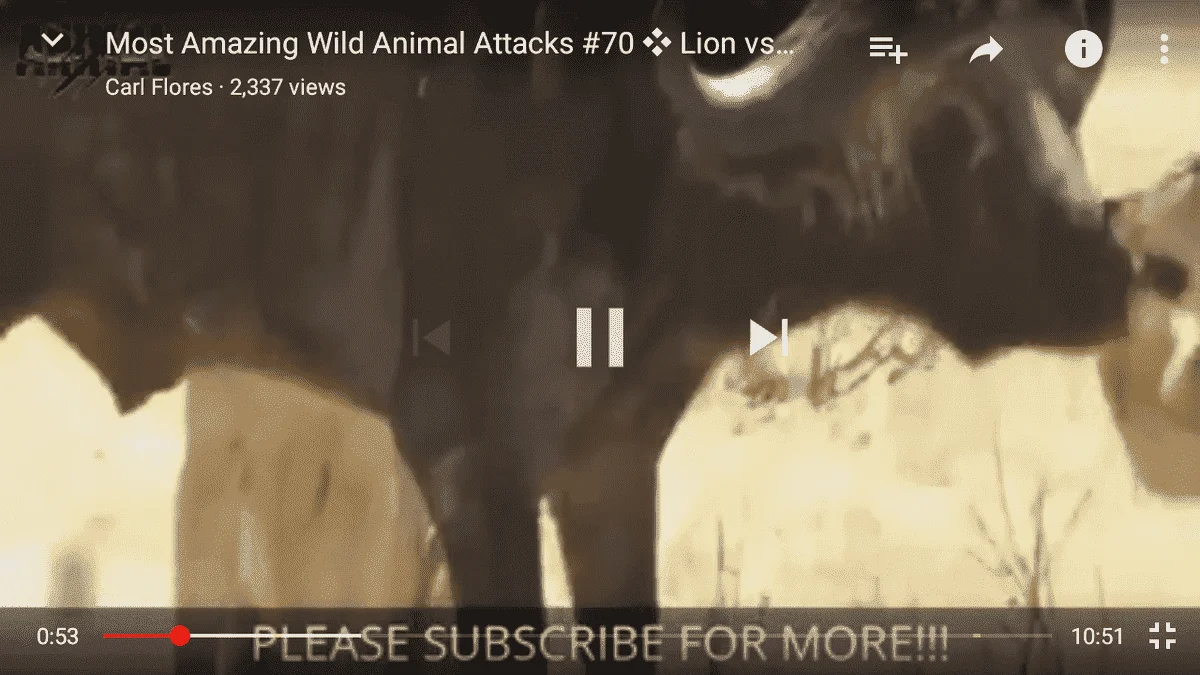 Screenshot_2016-09-15-20-09-58.webp