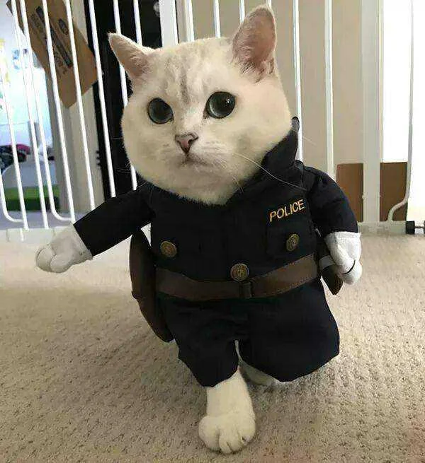 police.webp