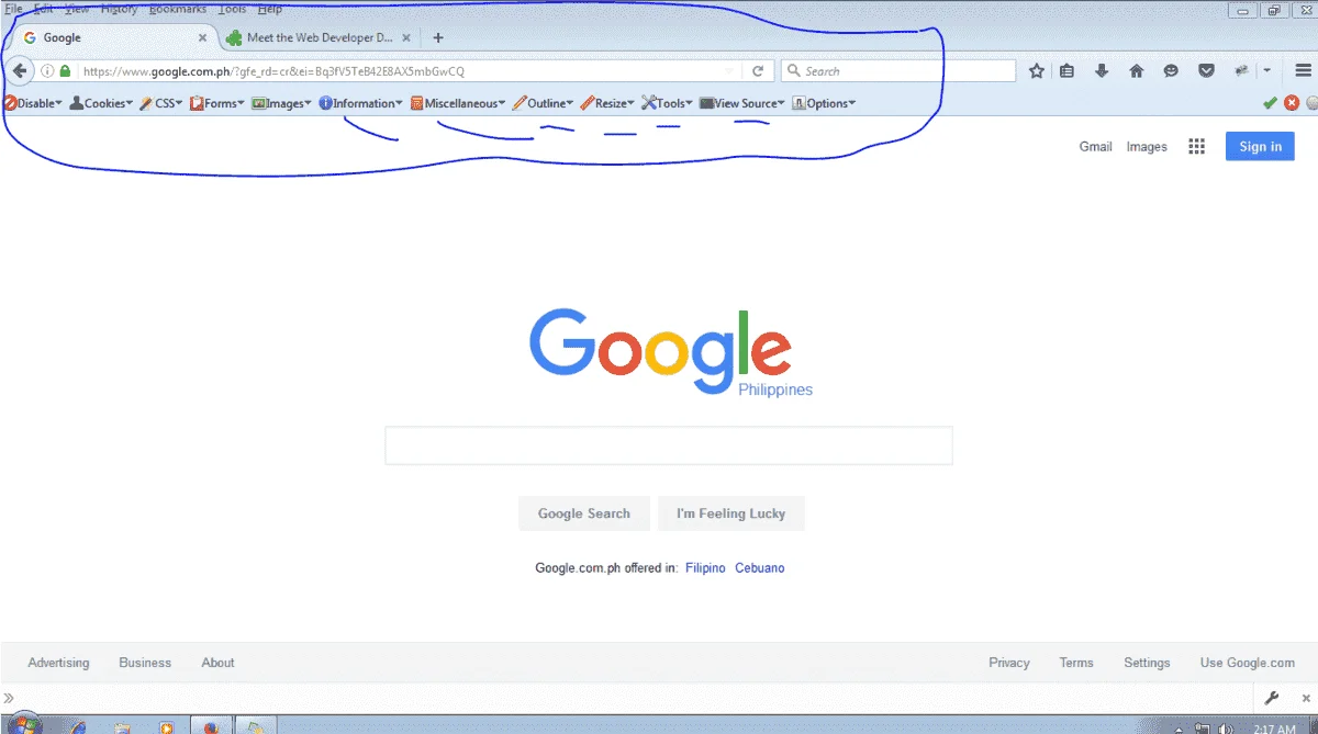 web developer 1.webp